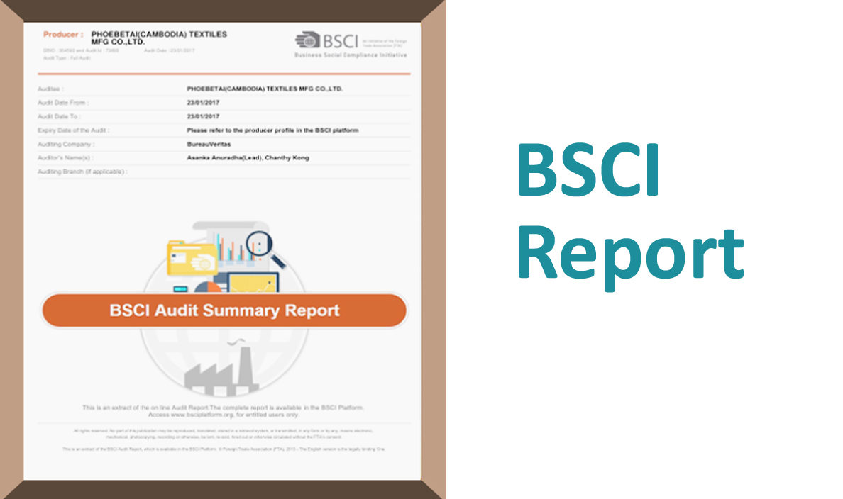 BSCI Report 